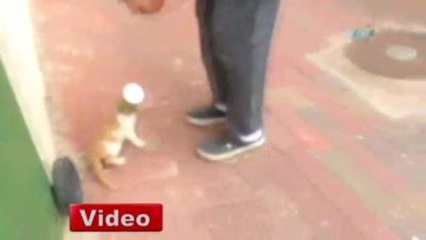 Bunu Yapan İnsan Olabilir mi !