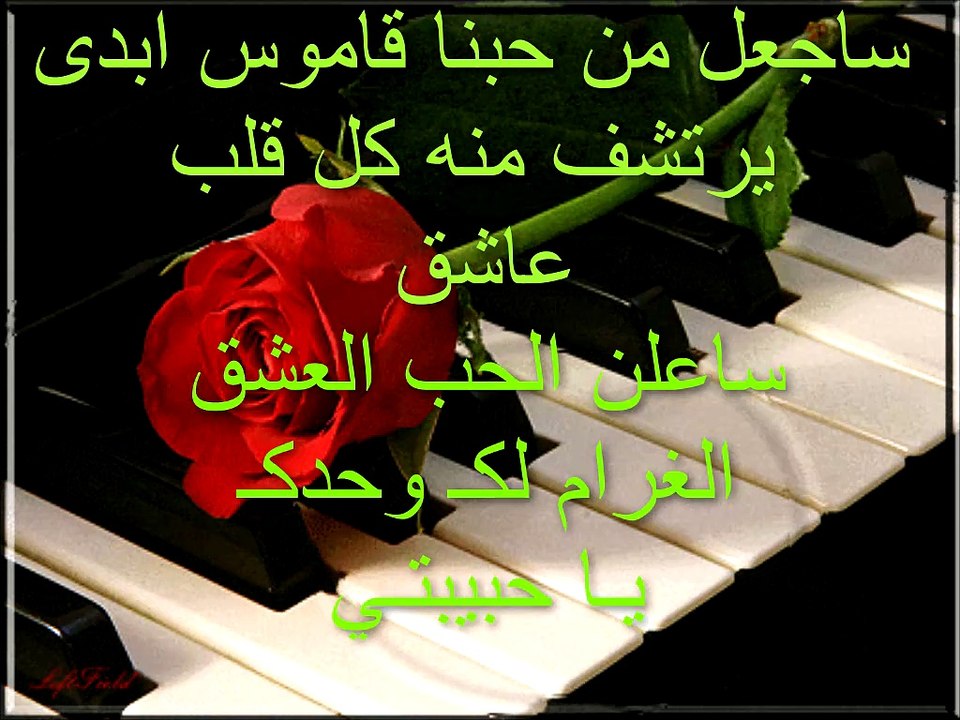 همسات مجنون