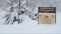 Kastamonu'da 837 Köy Yolunda Ulaşım Sağlanamıyor