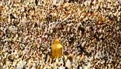 Woh Allah Hi To Hai By Ali Haider - (Exclusive)!!!
