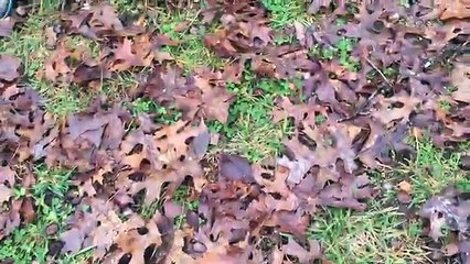 How To Pull A Tooth with a golf club, golf ball and dental floss