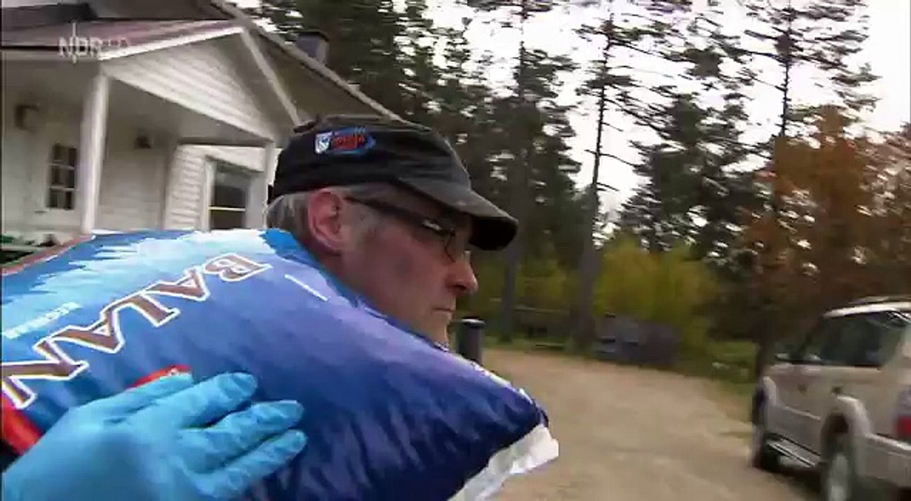 [DOKU] Expeditionen ins Tierreich - Die Rückkehr der Raubtiere Wolf Luchs und Bär auf dem Vormarsch