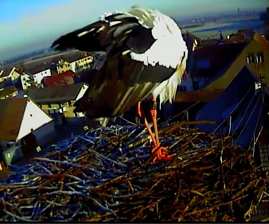 Lara 06.01.2015  -5°c