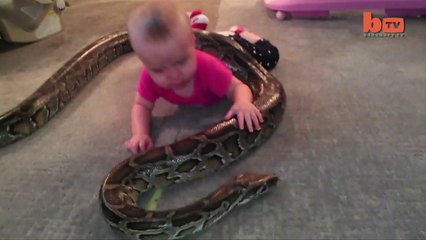 Bébé joue avec un python