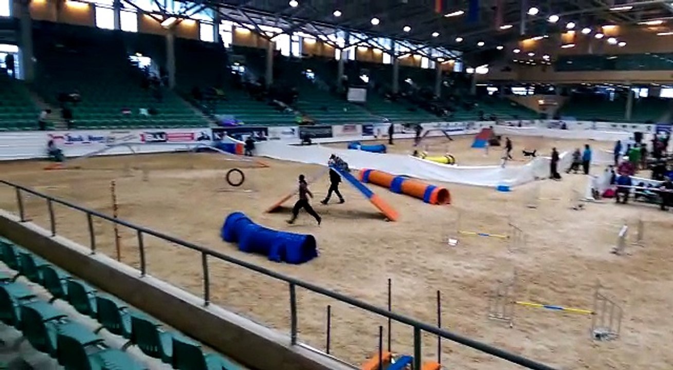 B.A.C.K. 1. Tag Kiwi A-Lauf