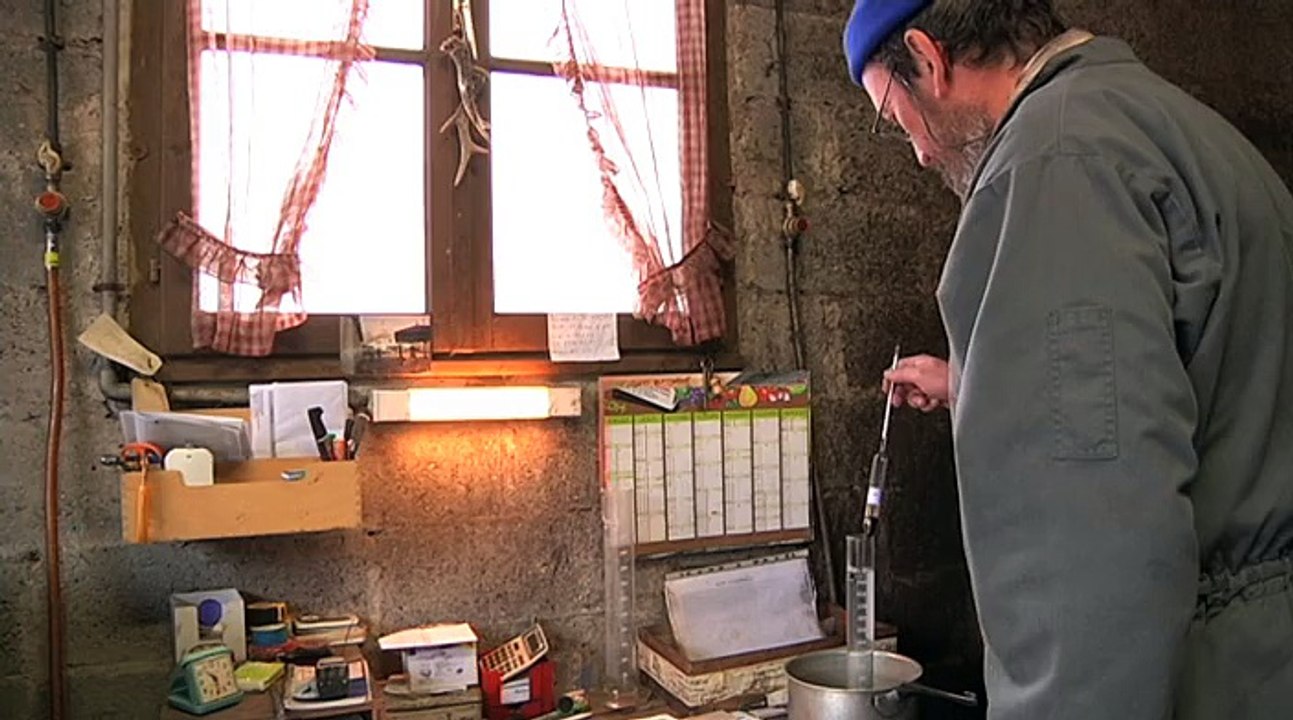 Reportage : Distillation de la mirabelle