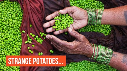 240 MIO PEOPLE HAVE SEX EVERY DAY! - 20 AMAZING FACTS #7