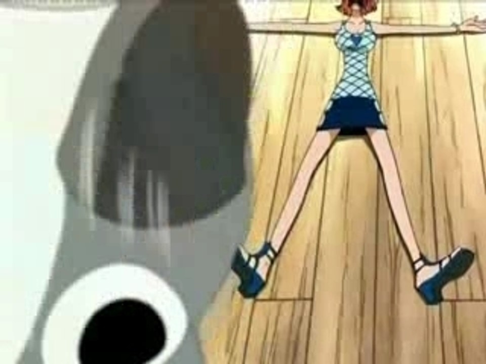 Luffy, sa vie, son siège