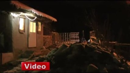 Tilkiden Dost Olurmuş