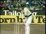 Ian Botham 6 for 95, Kim Hughes 89, Graham Yallop 58, 3rd Ashes Test 1981