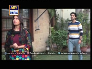 Babul Ki Duaein Leti Ja Ep – 126 – 6th January 2015