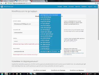 Wordpress Blog Nasıl Açılır?