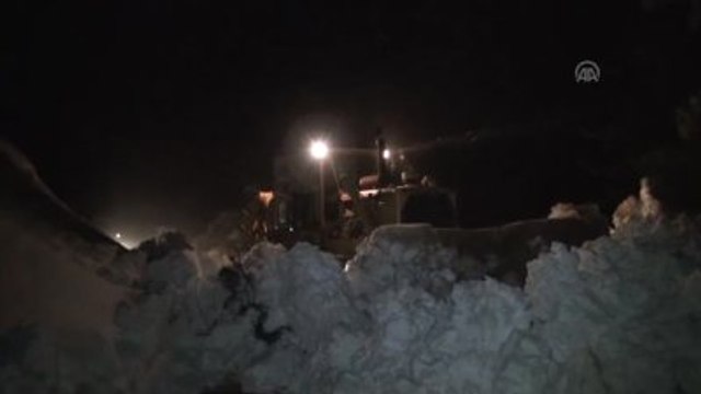 Mahsur Kalan 7 Büyükbaş Hayvan Kurtarıldı