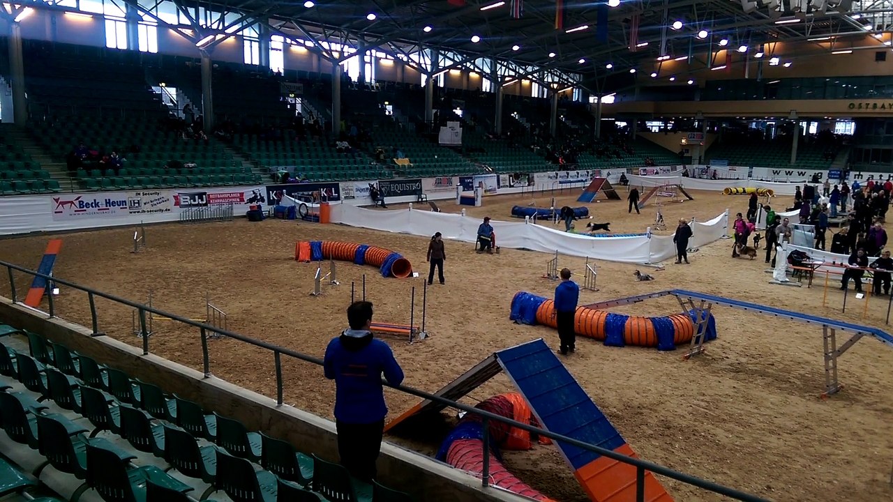 B.A.C.K. 2. Tag Kiwi A-Lauf