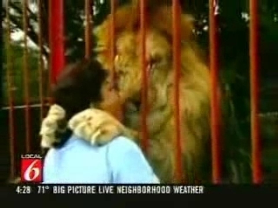 Baiser de Lion