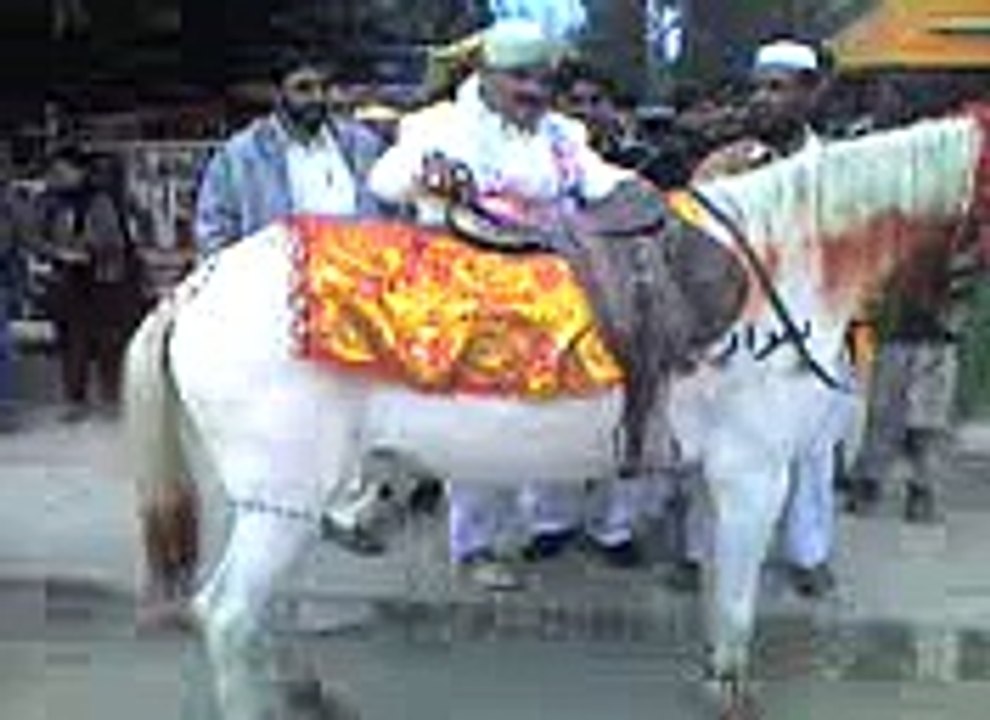 Dulha