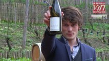 Vin bio: Coup de cœur pour un vin blanc de Fronton