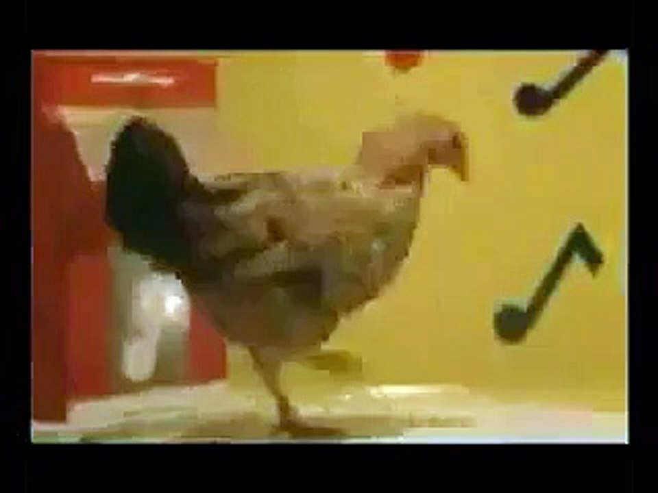 gerçek  çerkez tavuğu sonsuzluk