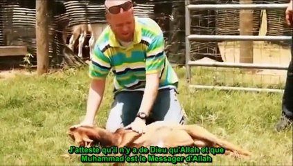 Abattage rituel islamique