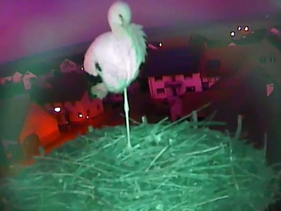 Lara 06.01.2015 Bonne nuit / Gute Nacht