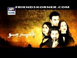 Chup Raho Episode 19 On Ary Digital in High Quality 6th January 2015 - DramasOnline