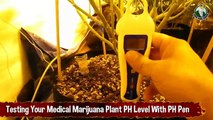 Testing Your Medical Marijuana Plant PH Level With a Blue Lab PH Pen
