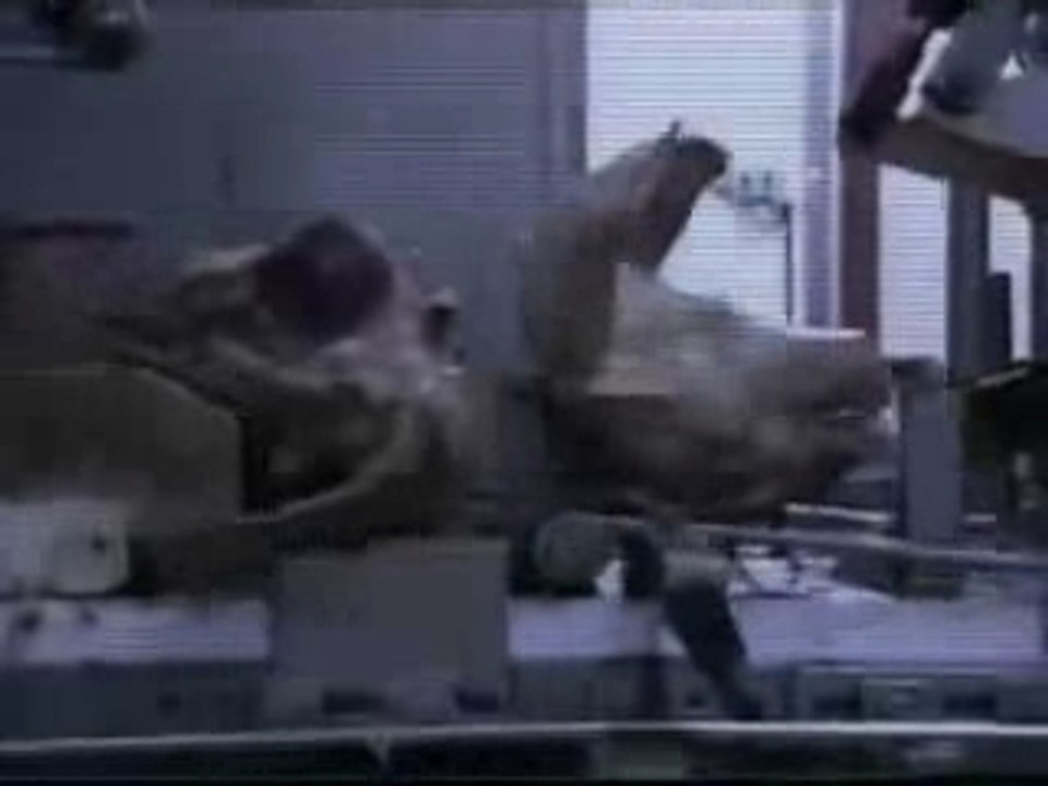 La fin de leur monde