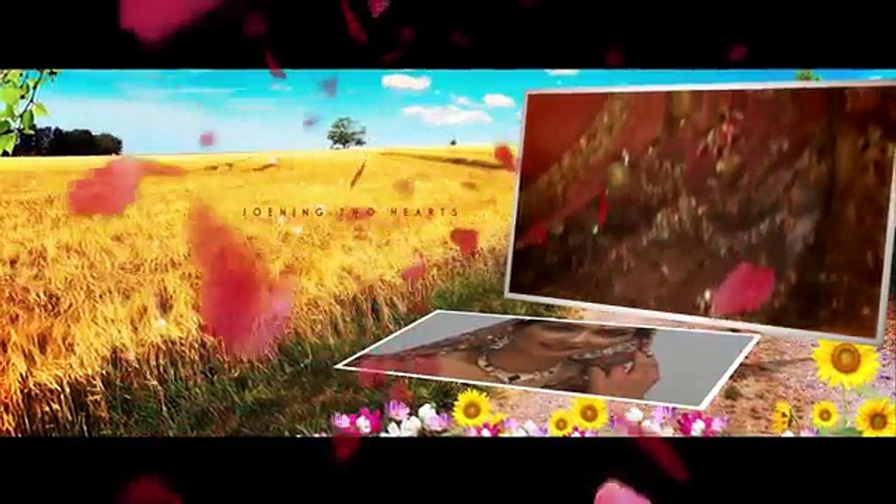 Edius 7 Projects,Canopus Projects,Edius Projects