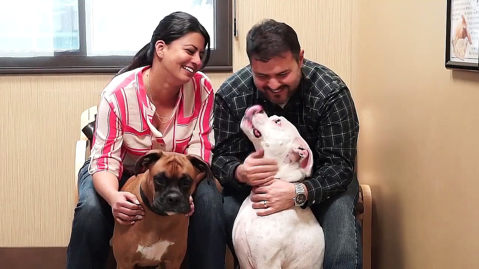 ⁣Welcome to Pine Creek Veterinary Hospital