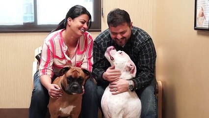 Welcome to Pine Creek Veterinary Hospital