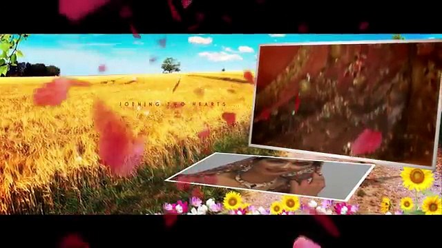 Edius 7 Projects,Canopus Projects,Edius Projects