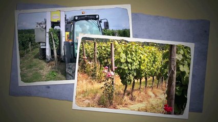 Vignoble domaine de laveur 46