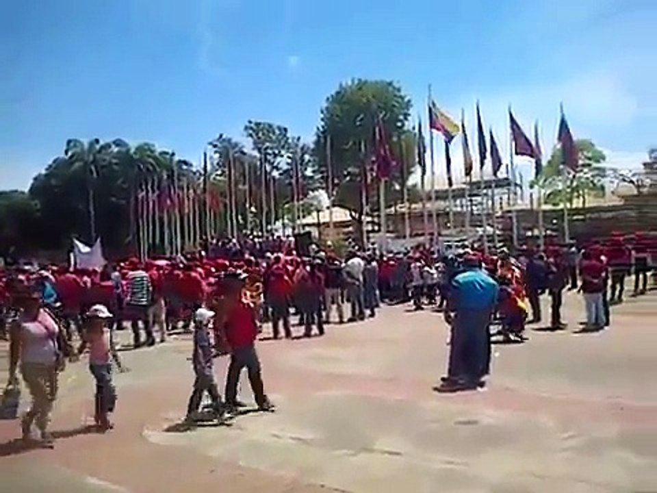 Ameliach llama al Contra Ataque a las UBCH Sábado 22 de Feb 2014 en concentración por la -paz-