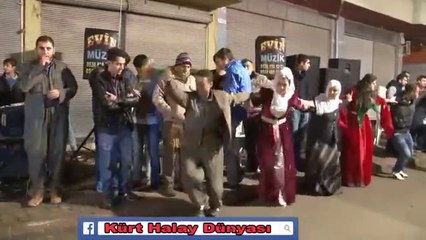 PAPORÊ HALAYI HELE BİDE SONUNU İZLEYİN