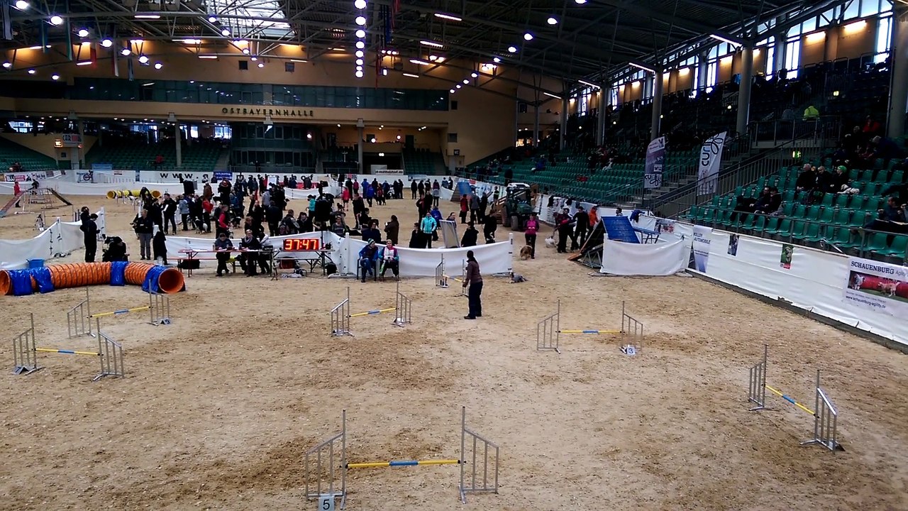 B.A.C.K. 2. Tag Kiwi Jumping