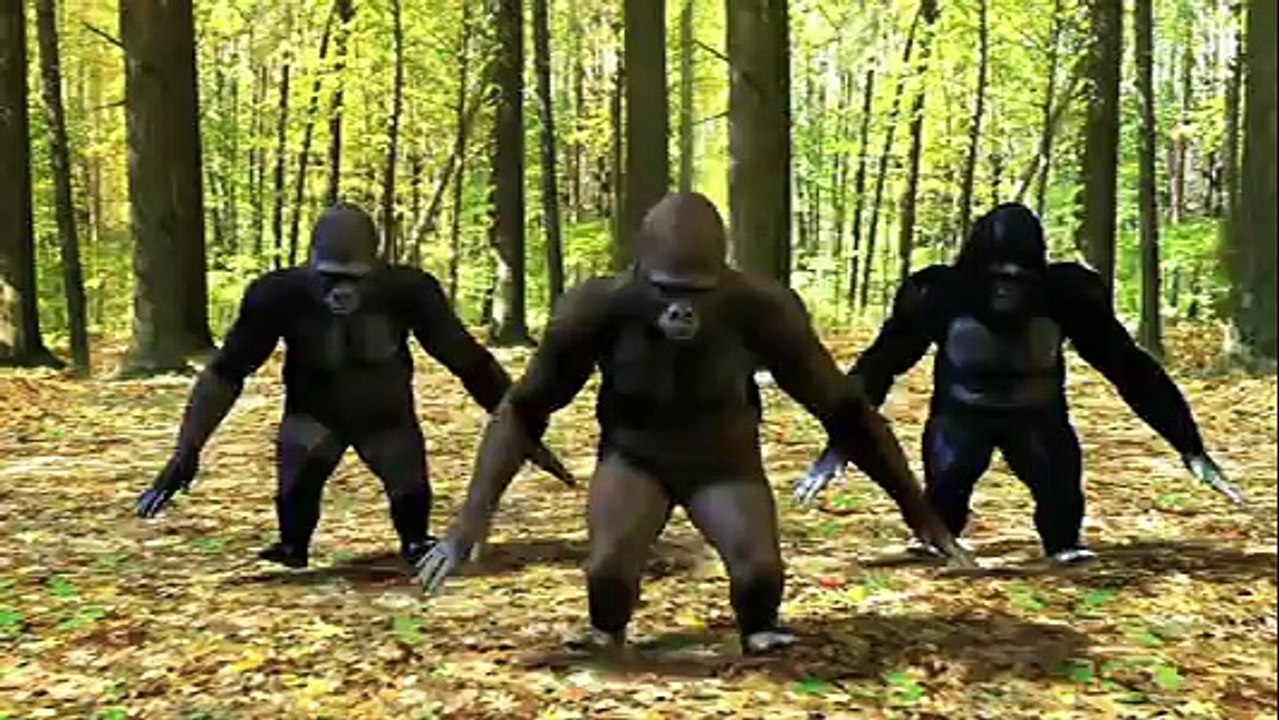 LOL LOL REGGAE GORILLAS!!!!!!!! -