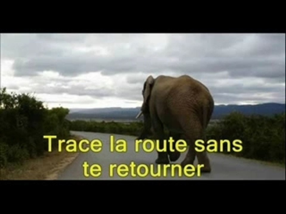 Les jumeaux de la politique