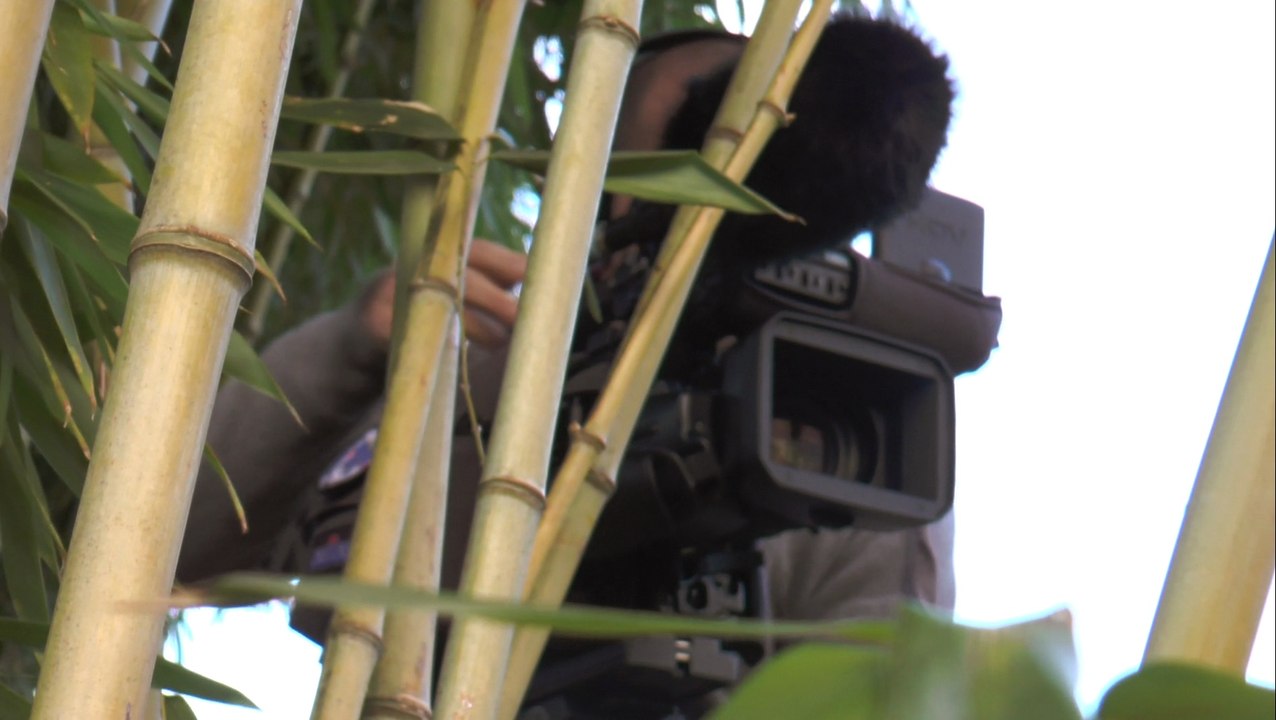 interview de Manu en formation audiovisuel