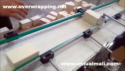 Yeast Blocks Bundling & Overwrapping - Yaş Maya Paketleme