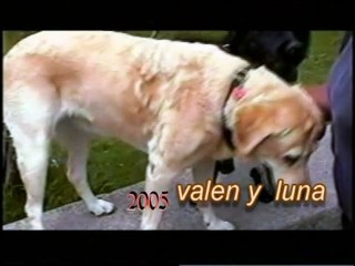 videografia de valen