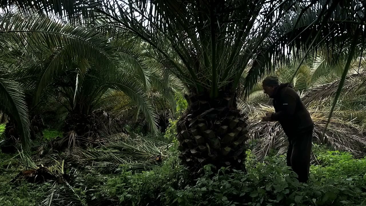 Bande-annonce : Sacro Gra - VO