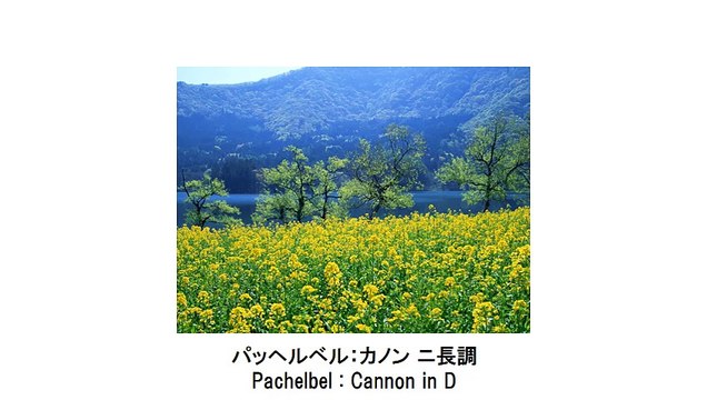 リラックスできる癒しのクラシック名曲集・Healing and Relaxation Classical Music Collection（長時間作業用BGM)