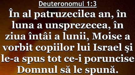 Adu-ti aminte de incercari Florin Ianovici