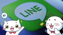 Cute White Cat - Creators' Stickers - LINE Store