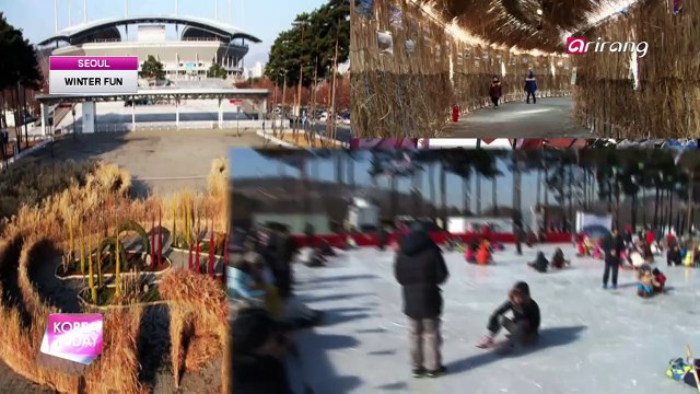 Winter Pastimes: Go Skating & Sledding Seoul