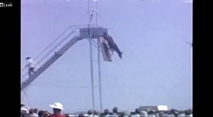 A Horse amazing jump In Air - Video Dailymotion