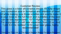 Delirium Tremens Belgian Beer Snifter Glass Review
