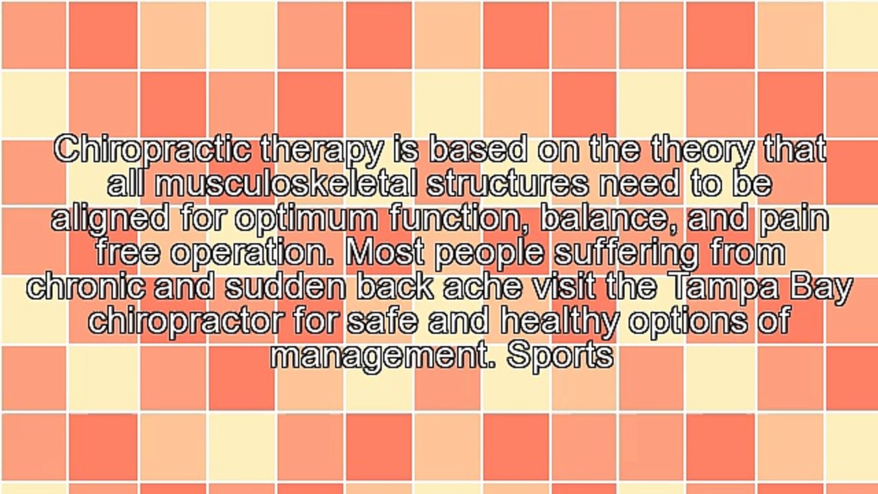 Tampa Bay Back Pain Relief Done Naturally Through Chiropractic Therapy