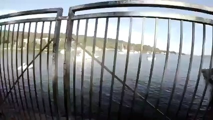 Büyük Beyaz Köpekbalığı ile Karşılaşma