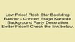 Rock Star Backdrop Banner - Concert Stage Karaoke Background Party Decoration Review